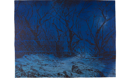 Orit Hofshi, Evenfall, 2010, Wood cut, Aquati