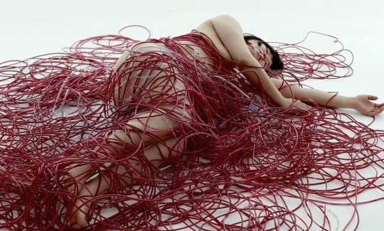 ציהארו שיאוטה, חומה, 2010