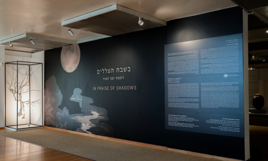 תערוכת "בשבח הצללים", צילום: