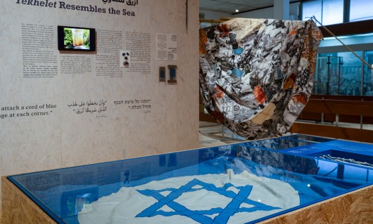 צילום: ג'ני כצנר
