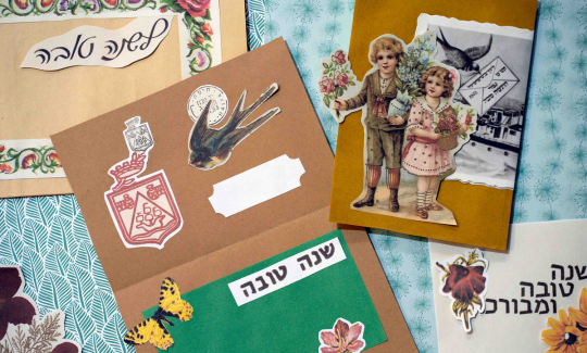 קרדיט: ג'ני כצנר