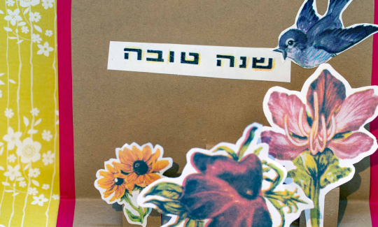 קרדיט: ג'ני כצנר