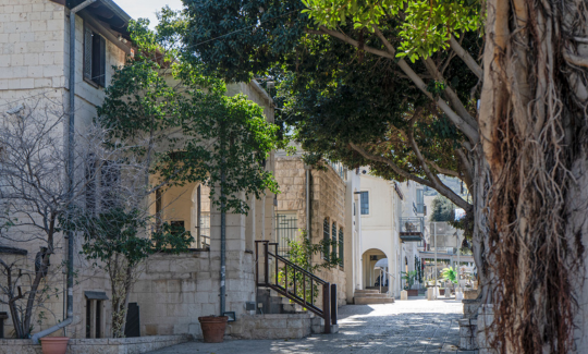 קרדיט: ג'ני כצנר