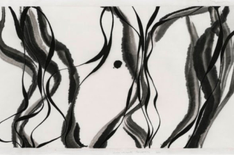 Sumi-e | Japanese ink painting