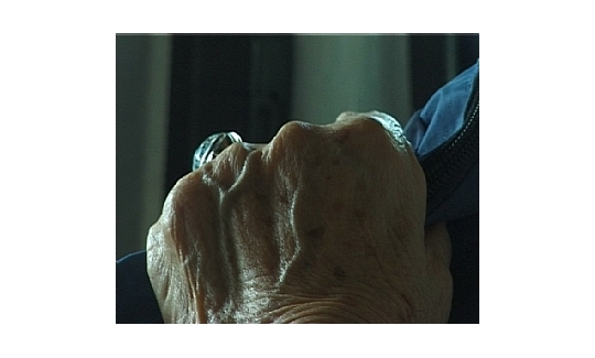 Palms (video still)