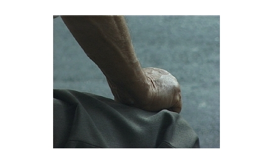 Palms (video still)