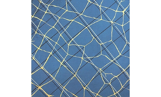 אפרת גל־נור, כפר יונה, 2006