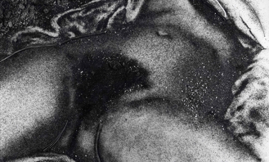 Vik Muniz, The Origin of the World, After Courbe