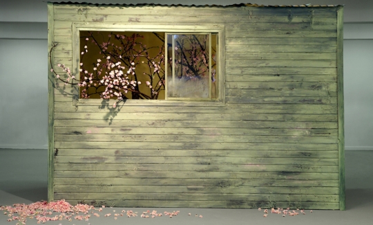 Lihi Chen, Late Bloomer, 2006