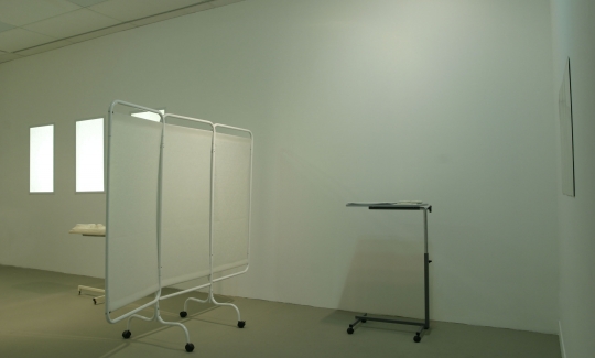 A Dim Memory of Clear Consciousness, 2006-2007