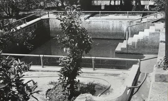 Drora Spitz, Bustan Khayat, Wadi Siah, 1970-1977