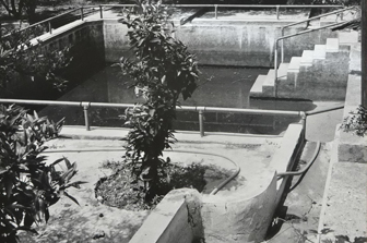 عن سحر بستان خيّاط في وادي السّيّاح