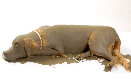 Tal Frank Born in Israel, 1973Lives and works i