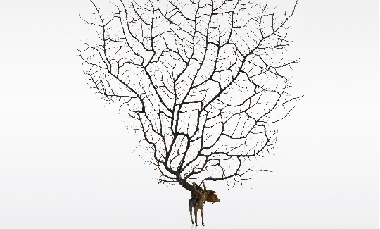 Hila AmramFrom the 2009-10 Installation: Crystal