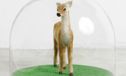 Hila AmramFrom the 2009-10 Installation: Crystal