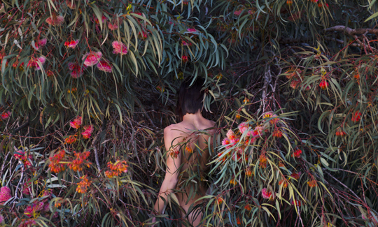 Itamar FreedEucalyptus, 2014Inkjet print o