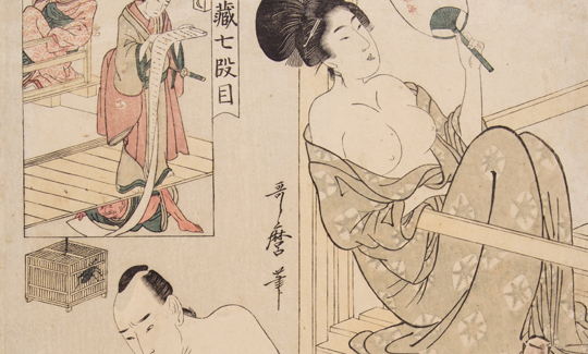 قيطاجاووه اوطاماروولد في