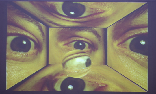 תומס ישראלנולד בבריסל