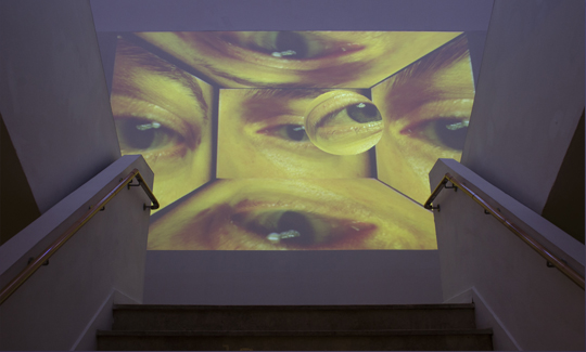 תומס ישראלנולד בבריסל