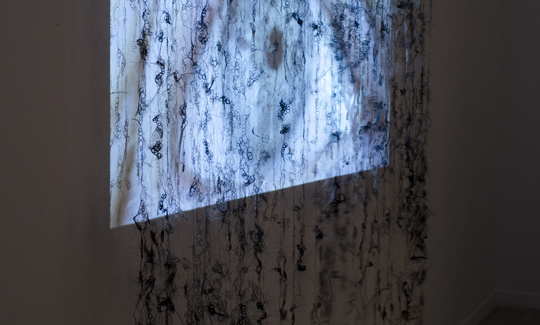 בל שפירנולדה באמברג