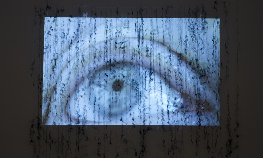 בל שפירנולדה באמברג