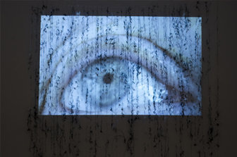 Artist Wall: Belle Shafir