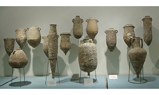 מראה כללי של תצוגה