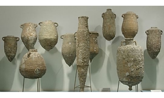 מראה כללי של תצוגה