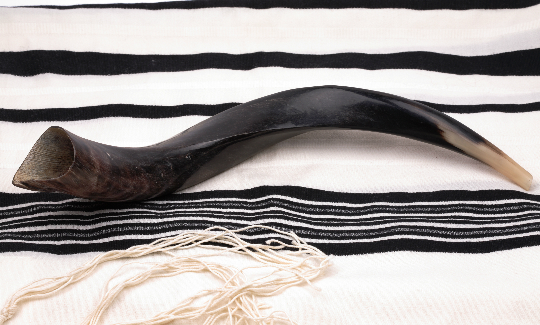 תמונות מתוך סטוק "Dreamtime"