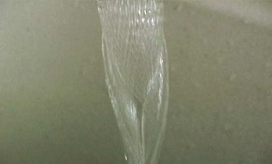 שרון בלבן נולדה בירושלים