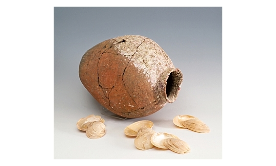 Jar with a hoard of shellfish, pottery, 4th