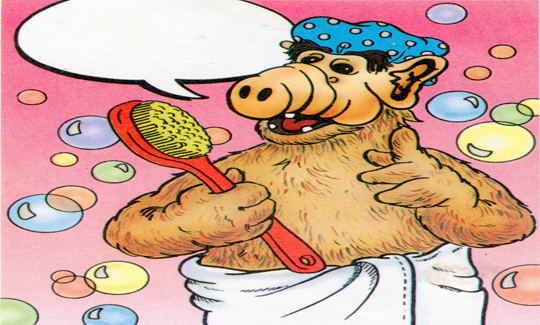 אלף, אוסף מכתביות, מדבקות