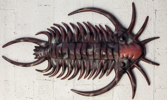 Adi Nachshon, Trilobite, 2015, Fiberglass and