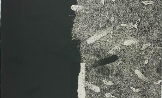 Nakabayashi Tadayoshi, Transposition ‘94