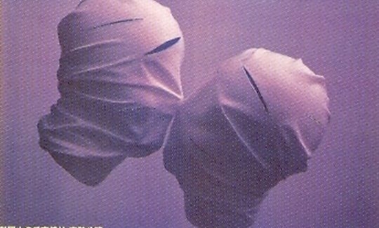 אוסאמו פוקושימה, 1999