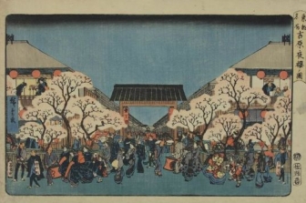 Spring Blossoms