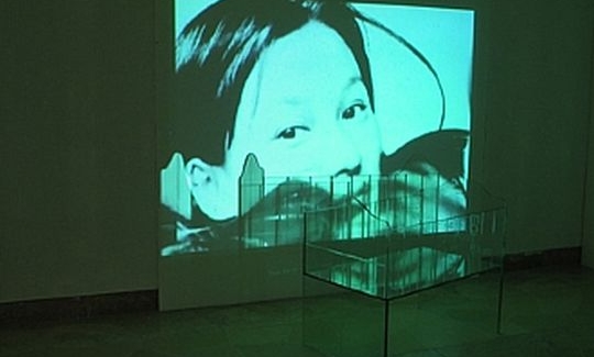 Real? Motherhood, 2000, video installation