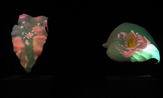 Still Life (טבע דומם), 2000-1993, מיצב