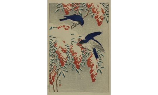Ohara Shoson, Blue Birds on a Nandina Tree i
