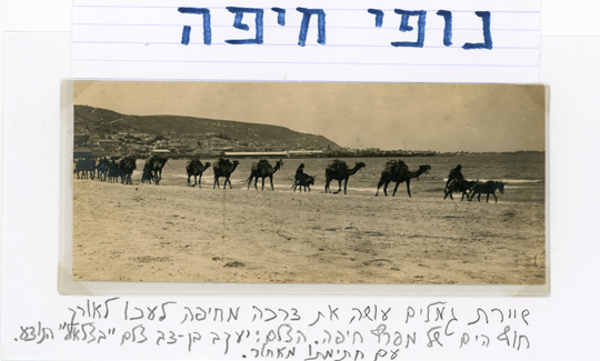 יעקב בן דוב, שיירת גמלים