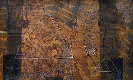 רונית אגסינוף ישראלי