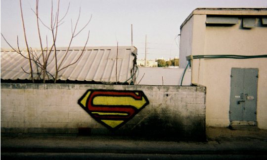 Dana ZonshineFrom the series “By the Way”