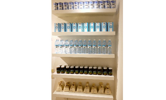 אריאן ליטמן פרוייקט ארץ