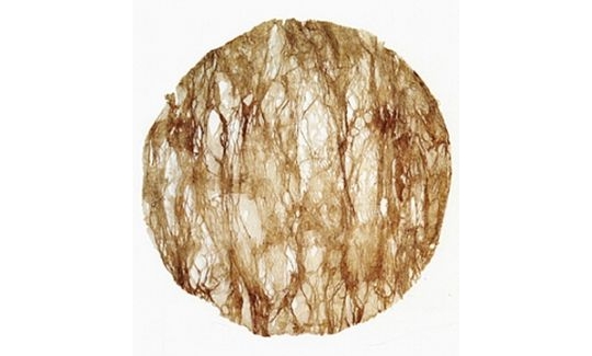 Asakura Syunsuke, En So (Jupiter like), Kozo, 2001