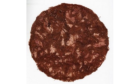 Asakura Syunsuke, En So (String Net), Kozo, 2001