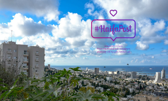 צילום: סיגלית סלומון