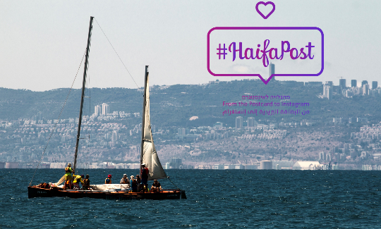 צילום: מארון חביב