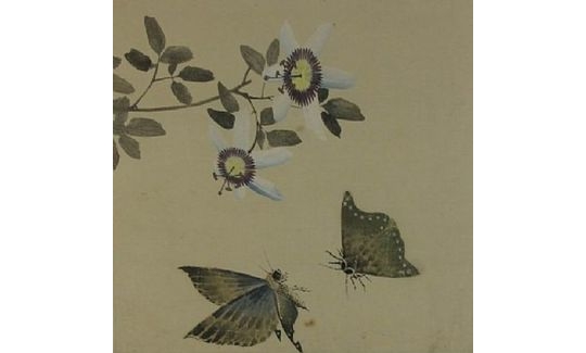 Katsushika Hokusai, Butterflies and Passiflora