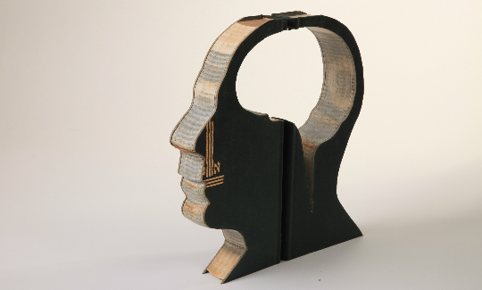 איתמר בגליקטרללא מוח, 2008ספר