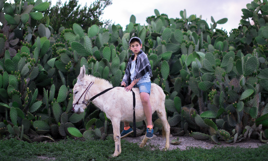 أوريا، 2016 تصويربفضل